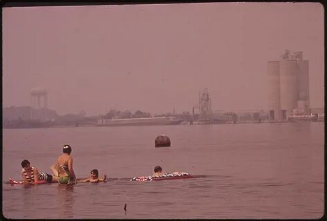 TOM CLARK: A Pool in Palestine