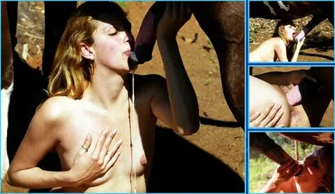 Girl Gives Horse A Blowjob - Sex Porn
