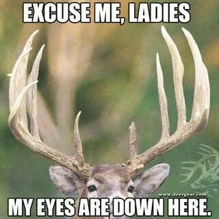 Funny Deer Hunting Sayings - Фото база