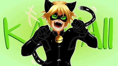 Chat Noir Wallpapers (69+ images)
