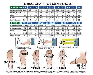 Gallery of free download international shoe size conversion 
