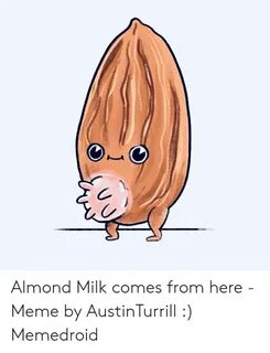 Almond Milk Comes From Here - Meme by AustinTurrill Memedroi