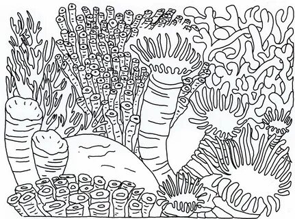 Drawn ocean coral reef - Pencil and in color drawn ocean cor