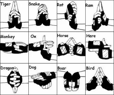 Jutsu Hand Signs Tutorial Pt. 1 Naruto Amino