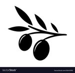 Olive tree branch Royalty Free Vector Image - VectorStock
