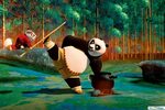Training to Panda HD wallpaper download