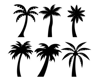 Palm Tree Silhouette Vector Art & Graphics freevector.com