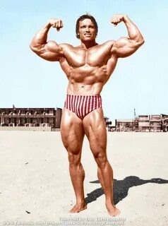 vecchie foto di bbing colorate ... Arnold schwarzenegger, Bo