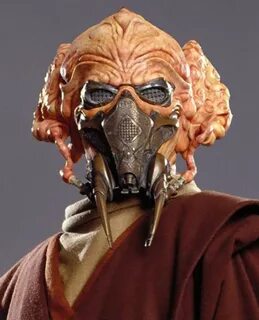 Plo Koon Wiki Star Wars: Galaxy Edge RP Amino