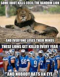 Detroit lion Memes