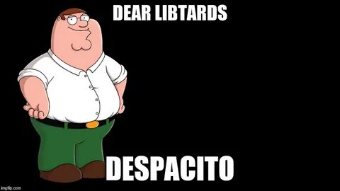 upvote to dab on libtards - Imgflip