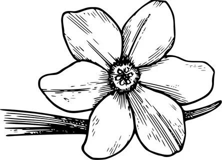 Corolla Flower Clipart, vector clip art online, royalty free