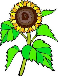 Free Free Sunflower Clipart, Download Free Free Sunflower Cl