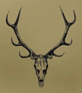 Elk Antler Clip Art Free free image download