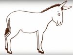 Donkey Drawing Cartoon How-to, donkey png PNGBarn
