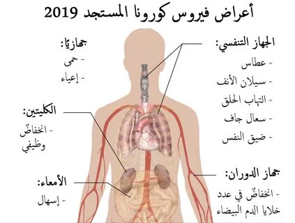 ملف:Symptoms of coronavirus disease 2019 in Arabic.png - ويك