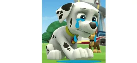 Paw Patrol Marshall Crying Fanfiction