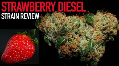 STRAWBERRY DIESEL STRAIN REVIEW - YouTube