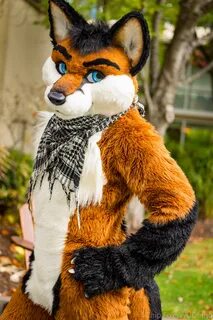 File:ChipFox Fox Fursuit 2015.jpg - Wikimedia Commons