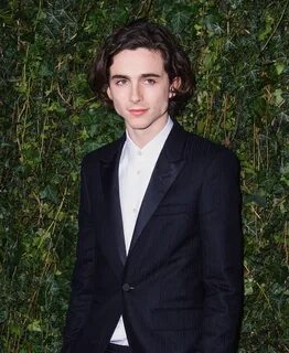Pin by may on timothee chalamet Timothee chalamet, Photograp