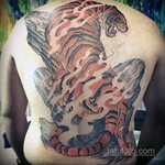 тату японский тигр 26.11.2019 № 011 -japanese tiger tattoo- 