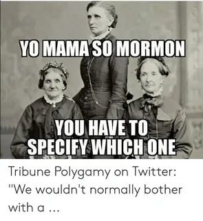 ✅ 25+ Best Memes About Polygamy Meme Polygamy Memes