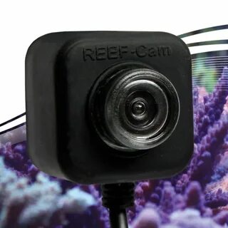IceCap REEF-Cam gives you an underwater view of your tank Re