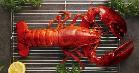 Arta mesei: Extravaganza gastronomică cu homar şi vinuri din