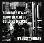Somedays...it's just therapy. "Get with the program or Go Fi