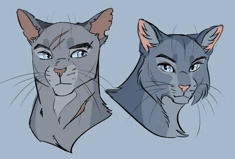 CLIMB Warrior cats fan art, Warrior cat drawings, Warrior ca