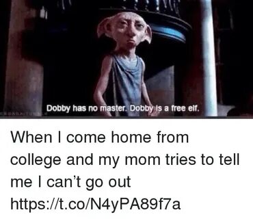 🐣 25+ Best Memes About Dobby Has No Master Dobby Is a Free E