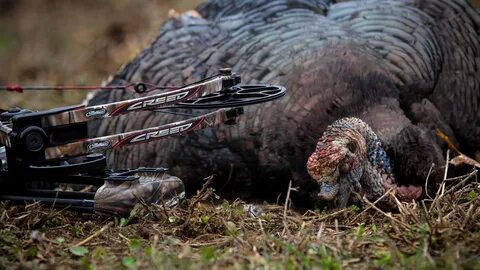 Spring Turkey Hunting Wallpaper (58+ images)