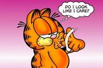 Garfield the cat just pissed off a bunch of people on Electi