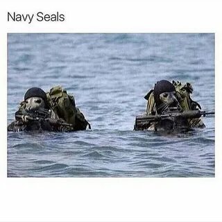 Navy seals Funny pictures, Funny memes, Navy seals