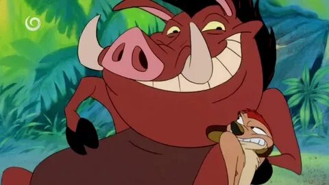 Timon & Pumbaa Hakuna Matata (Intro) (Română HD) - YouTube