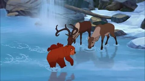 Brother Bear Wallpapers Wallpapers - Most Popular Brother Be