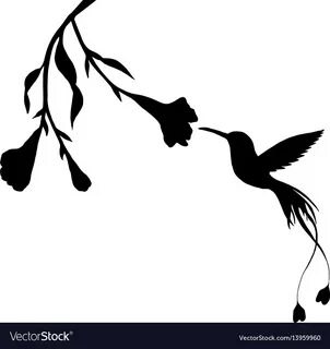 Layered Hummingbird Svg For Silhouette - Layered SVG Cut Fil
