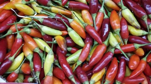 Free Images : spicy, chili pepper, food market, bright colou