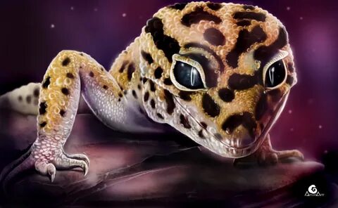 Eidorian Art - Leopard Gecko