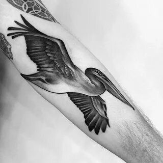 50 Pelican Tattoos For Men - Water Bird Design Ideas Pelican