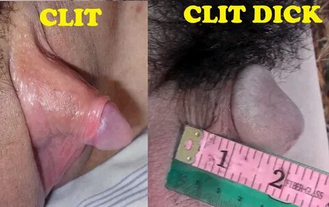 Is the clit a dick