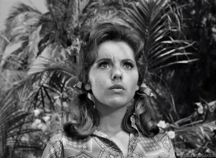 Dawn Wells Picture - Dawn Wells Actresses Photo - Celebs101.
