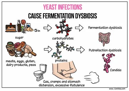 #infection. #dysbiosis. yeast. #causes. #connection. yeast infection candid...