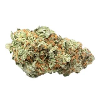 Buy Platinum Cookies Marijuna Weed (kush strain) Online - Bu