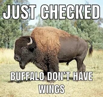 Buffalo Wings Meme - Captions Trending Update