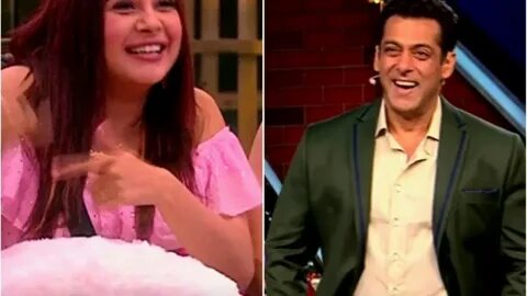 Sana, Shehnaaz Gill big boss, Shehnaaz Gill, Salman khan, Dabangg 3, Shehna...