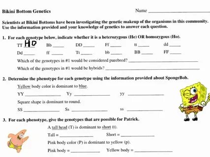 Bikini Bottom Genetics Worksheet Biology worksheet, Persuasi