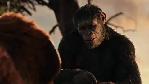 War for the Planet of the Apes 2017 720p HC HDRip x264 M2Tv 
