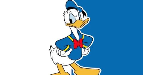 Donald Duck Disney On Ice