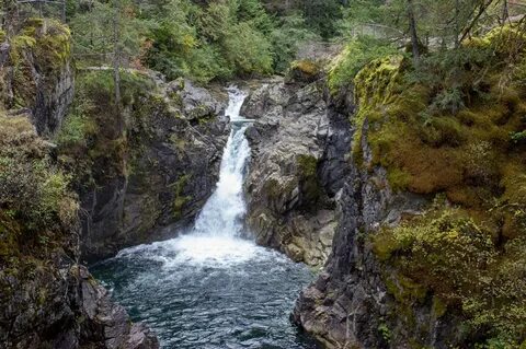 Little Qualicum Falls Loop On Vancouver Island Outdoor Vanco